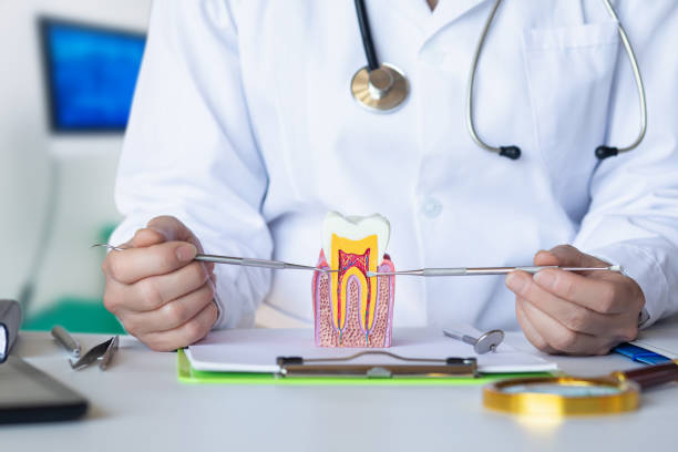 Best Emergency Treatment for Dental Infections or Abscesses in Bagdad, AZ